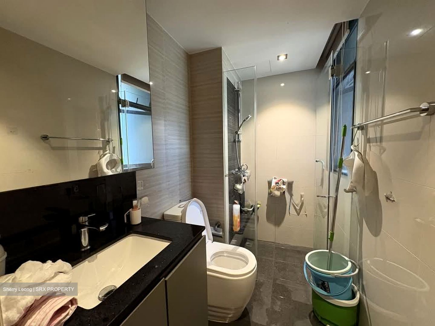 Blossom Residences (D23), Condominium #600334211